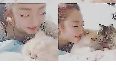 진보라, 반려묘들과 즐거운 한 때 "순수한 맘은 말그대로 동물한테만"