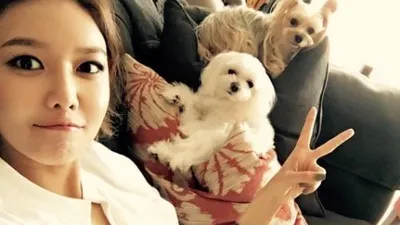 수영, 반려견과 편안한 오후 '브이'