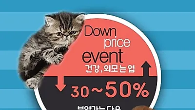 연계병원을 통해 꼼꼼한 케어 제공하는 '아담스펫', 프리미엄 강아지, 고양이 분양 전문업체로 자리매김