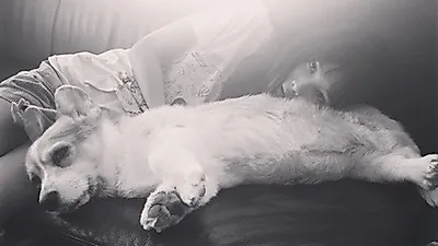 윤승아, 반려견 밤비와 찰칵 '화보 같은 일상'