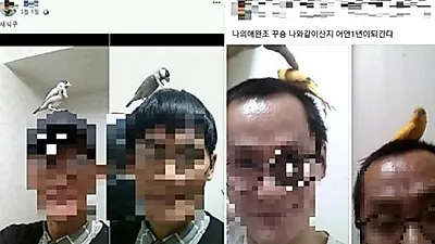 [☞핫키워드] '지하철 토끼남' 소름끼치는 실제모습?..'무슨사연이 있길래'