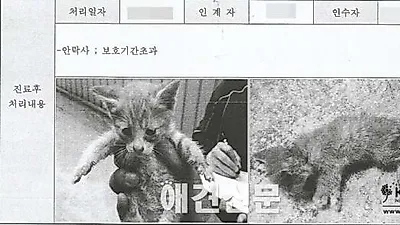 119 대원 소방관님들은 동물을 "살리는" 동물구조를 원합니다.