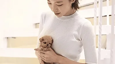 강아지분양 펫갤러리아,펫제이 비숑프리제·포메라니안전문으로 많은 유명인들 발걸음