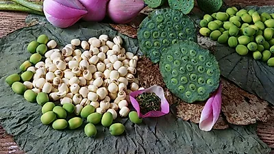 당뇨병을 예방하는 새로운 다이어트 음식 '연자육' 왕의 음식이라 불릴 만해...연자육 효능·먹는법·부작용 공개