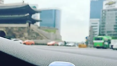 애견인 윤승아, 차량용 방향제도 강아지 사진