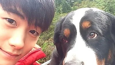 애견사랑에 푹 빠진 꽃남 스타들