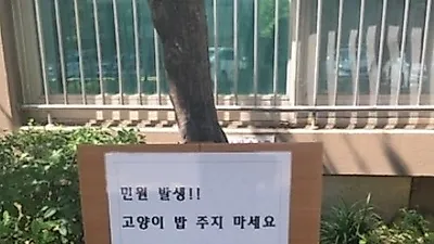 "고양이 밥 주지 마세요"…아파트 경고문 '시끌'
