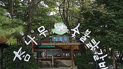 맥반석에 굽는 춘천 닭갈비 맛집 '참나무숯불닭갈비'