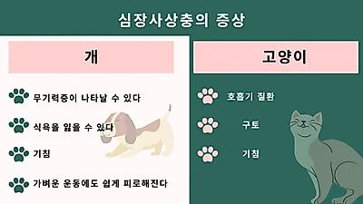 모기로 반려동물 감염되는 ‘심장사상충’ 예방이 최선