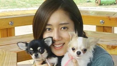 최송현, 이번에는 레오, 라이와 함께 산책 사진 공개