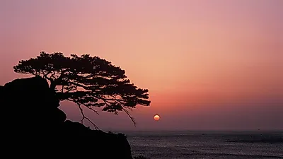 색다른 즐길 거리가 있는양양가볼만한곳
