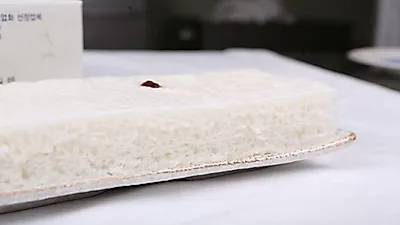 여름 건강을 생각하는 여름 보양떡 '김작가의 달천약선 기정떡'