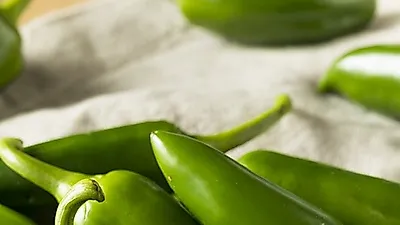 매콤한 할라피뇨, 파스타와 단짝친구 할라피뇨 만들기