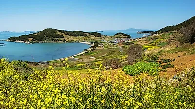 [국내여름휴가] 아날로그 감성 '완도', 가볼 만한 곳과 한옥 펜션의 매력!