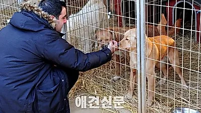 네슬레 퓨리나, 겨울철 유기동물 위해 펫푸드 기부