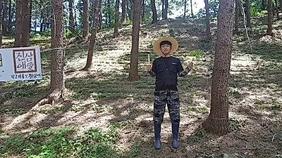 강원도 산양삼의 우수성을 직접 체험하는 횡성 산양삼 체험농장
