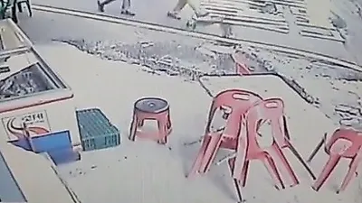 [동물학대] 임신한 고양이 걷어찬 남자 '2마리 유산'