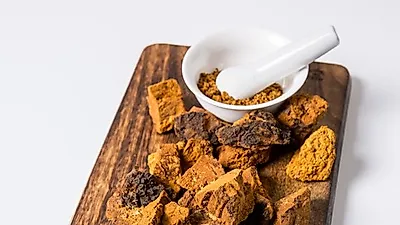 [변비에 좋은 음식]천연 암 치료제, 차가버섯의 효능 및 분말 먹는 방법은?