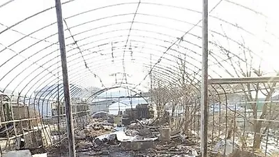 유기동물 보호소 '산수의 천사들' 큰 화재