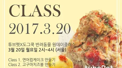 반려동물 플랫폼 '튜브펫', 반려동물 수제 간식 원데이 클래스 개최