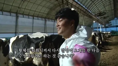 大型动物兽医 Min-jeong 怀揣一周龄小牛受精卵的原因