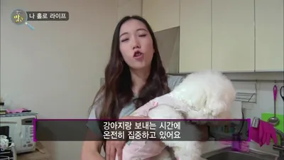 기관지 약한 반려견 위해 침·뜸 치료…강아지 한의원 방문기