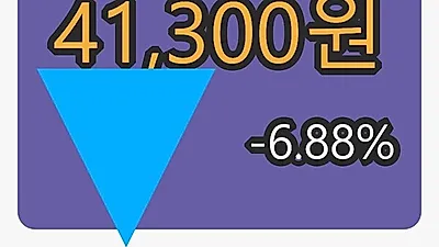 테스나 5일 마감가 41,300원 -6.88% 등락..