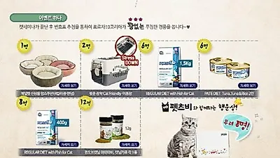 포르자10  코리아, 제3회 고양이 세미나 예정..