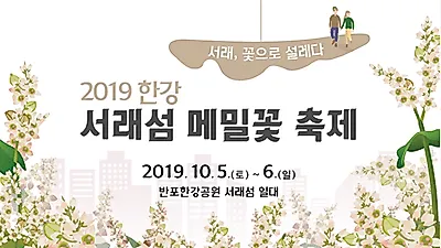 2019 한강 서래섬 메밀꽃 축제, "한강 데이트 장소로 낭만 가득해"