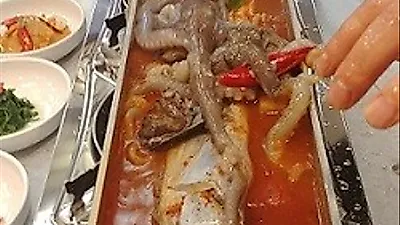 제주도 서귀포시 중문 맛집 '기원뚝배기' 특제양념의 통갈치조림 주문하면 생전복 무료제공