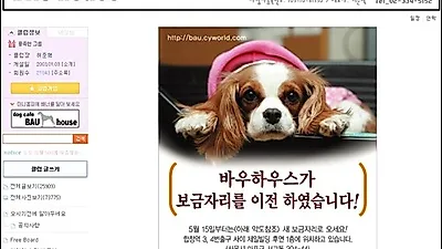 바우하우스 애견카페