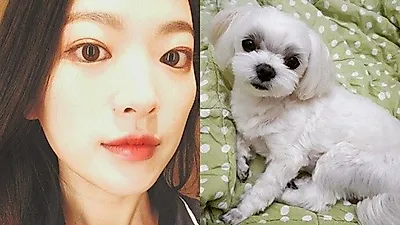 천우희 반려견, 인형같은 사랑스러움..."우리집 막내"