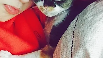 박보람, 닮은 꼴 반려묘와 함께 "니가 봐도 니가 이쁘지?"