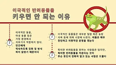 특이해서 키운다? 야생동물 키우면 안 되는 이유