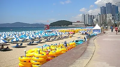 "여름 휴가철, 당신의 차량은 안전하십니까?" 자동차 관리에 주의를 기울여야할 때!