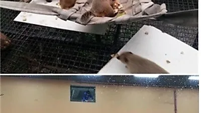서울대공원, '동물 행동 풍부화의 날' 지정