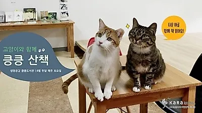 새기사1