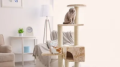 キャットタワーを作るには？ その方法と理由