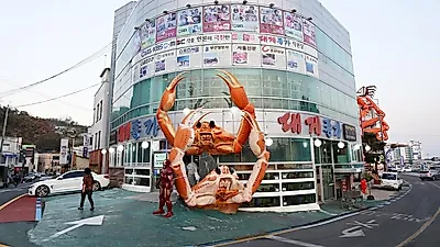 영덕 가볼만한곳 착한가격 강구항 영덕대게 직판장, 현지인의 맛집으로 알려진 곳