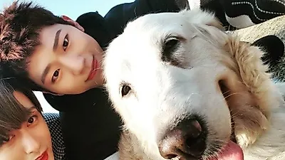 지코, 강아지 찰리와 함께 햇빛 받아 눈부신 외모 '찰칵'