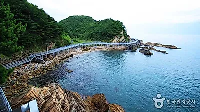 [11월국내여행지추천] 겨울바다의 정석 강릉가볼만한 곳·강릉맛집 베스트 총정리 도깨비 촬영지 등