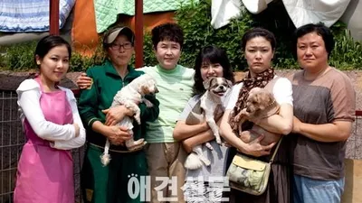 [탐방] 유기견 보호소 '산수의 천사들'