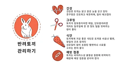 반려토끼 건강하게 해주는 5단계 관리 루틴