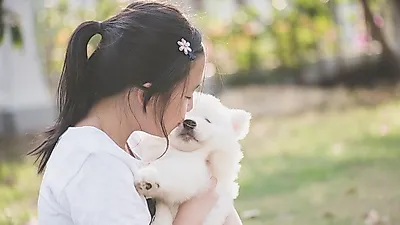 독특한 반려동물 키우는 스타들 대공개