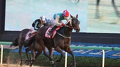 렛츠런파크 제12회 경남도지사배서 '미즈마고' 우승