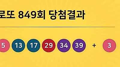 동행복권 849회 204억 누구꺼? 당첨지역 경기도 5곳, 경남 2곳 등...