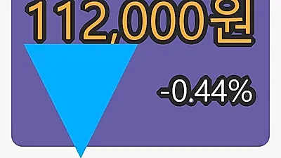 신영와코루마감가 112,000원 -0.44퍼센트 변동..