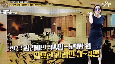 견미리, '견미리 팩트'로 잘 나가다 남편 때문에 이유비‧이다인까지 폭탄…견미리 집보니 궁전급