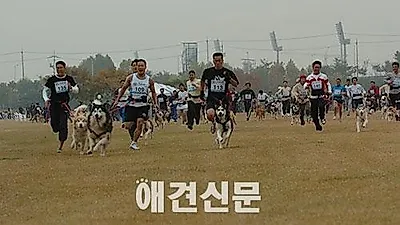 독스포츠 '제10회 한국 캐니크로스 대회' 오는 4월19일 개최