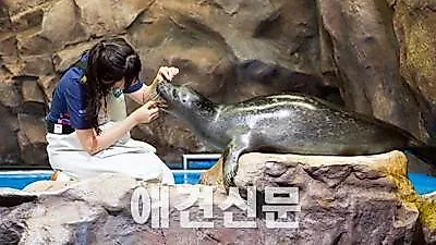 롯데월드 아쿠아리움, 해양생물 보호에 나선다
